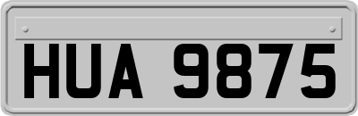 HUA9875