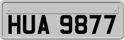 HUA9877