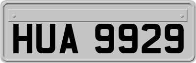 HUA9929