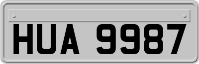 HUA9987