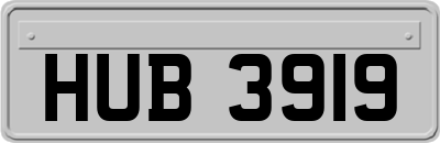 HUB3919