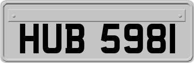 HUB5981