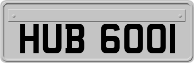 HUB6001