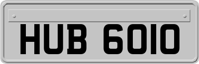 HUB6010