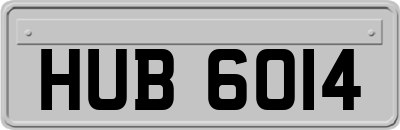 HUB6014