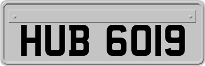 HUB6019