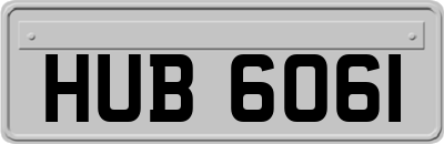 HUB6061