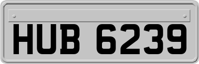 HUB6239