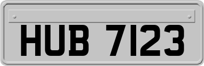 HUB7123