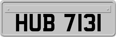 HUB7131