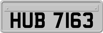 HUB7163