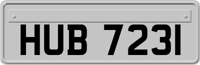 HUB7231