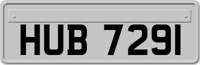 HUB7291