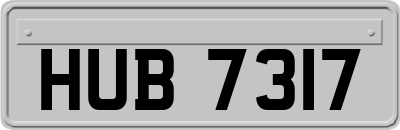 HUB7317