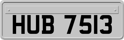 HUB7513