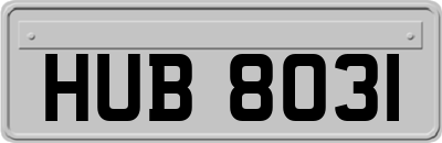 HUB8031