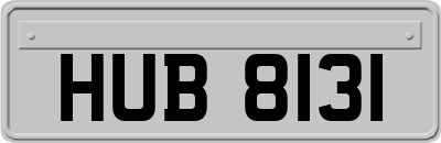 HUB8131