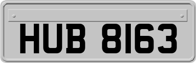 HUB8163