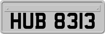 HUB8313