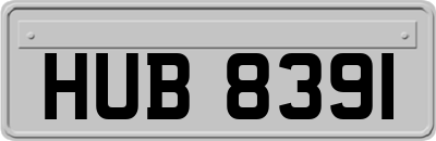 HUB8391