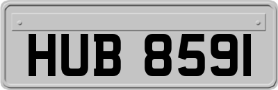 HUB8591