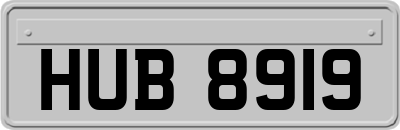 HUB8919