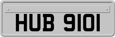 HUB9101