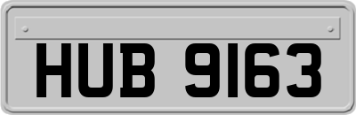 HUB9163