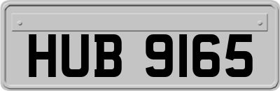 HUB9165