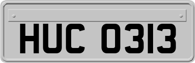 HUC0313