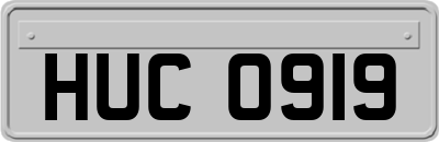 HUC0919