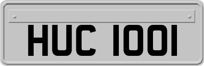 HUC1001