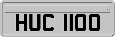 HUC1100