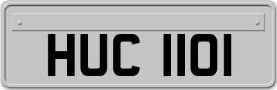 HUC1101