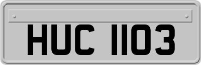HUC1103