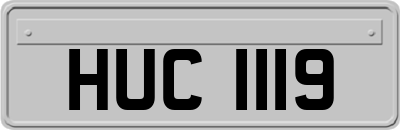 HUC1119