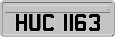 HUC1163