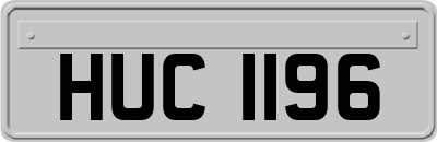 HUC1196
