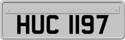HUC1197