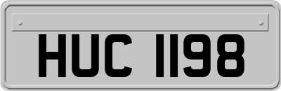 HUC1198