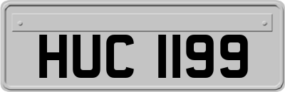 HUC1199