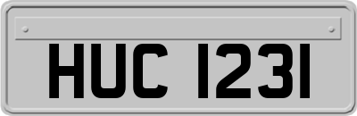 HUC1231