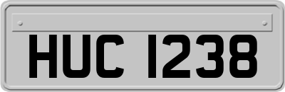 HUC1238