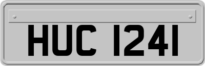 HUC1241