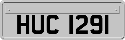 HUC1291