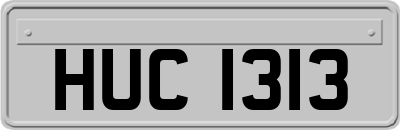 HUC1313