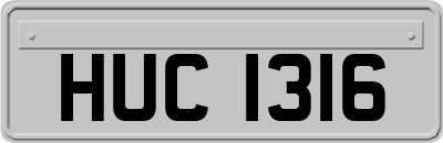 HUC1316