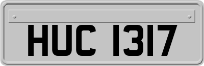 HUC1317