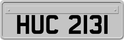 HUC2131
