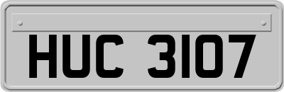 HUC3107